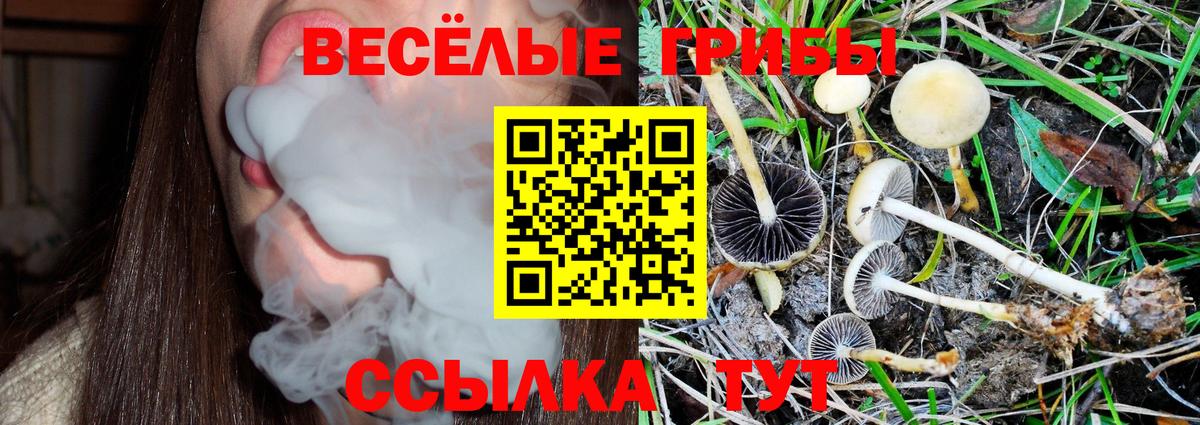 Галлюциногенные грибы MAGIC MUSHROOMS  Вход с VPN  Норильск 